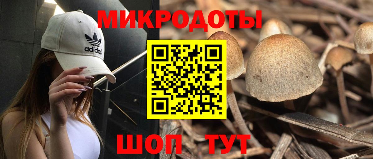 Галлюциногенные грибы ЛСД Кингисепп