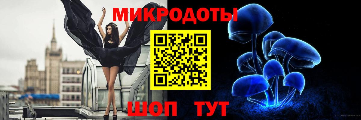 Галлюциногенные грибы GOLDEN TEACHER  Вход с VPN  купить наркотик  Псилоцибиновые грибы Magic Shrooms  Кингисепп 